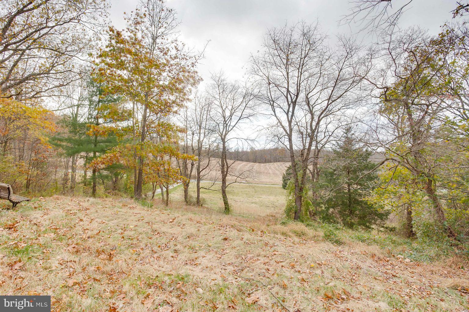 5357 Rocks Road Pylesville, MD 21132 - Photo 17 of 46 Gallery Image 17