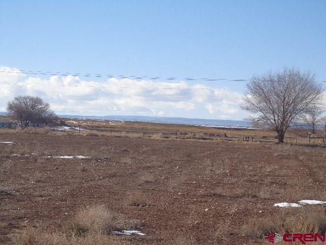 1492 1600th Road Delta, CO 81416 - Photo 6 of 6