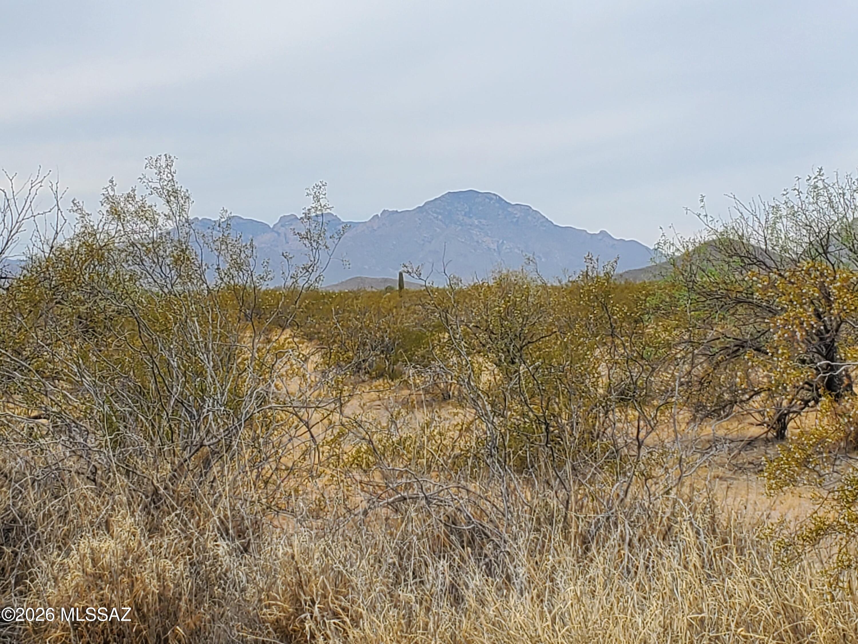 7925 South Worden Road Tucson, AZ 85735 - Photo 6 of 20 a view of a house with a mountain