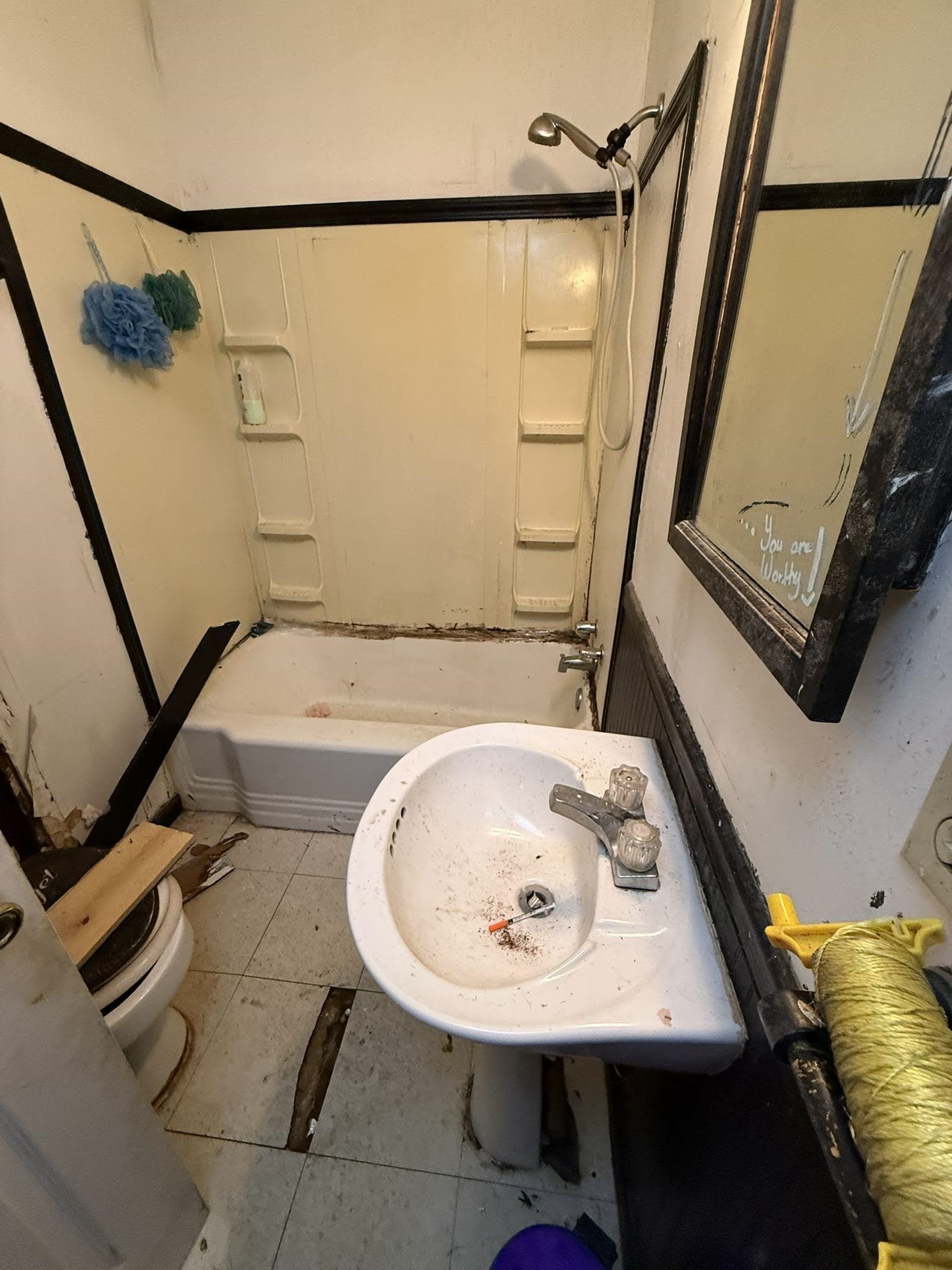 8488 Quito Road Millington, TN 38053 - Photo 14 of 30 a bathroom with a sink a mirror and shower