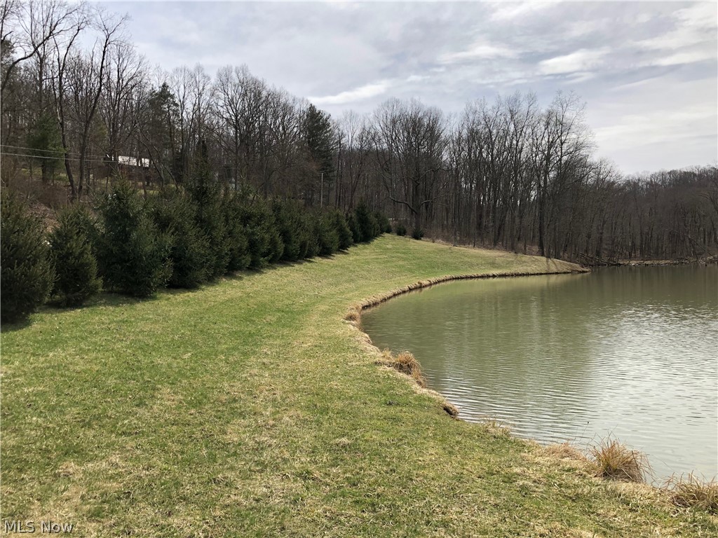 2025 Magnolia Road Northwest Magnolia, OH 44643 - Photo 3 of 6 Spring fed pond