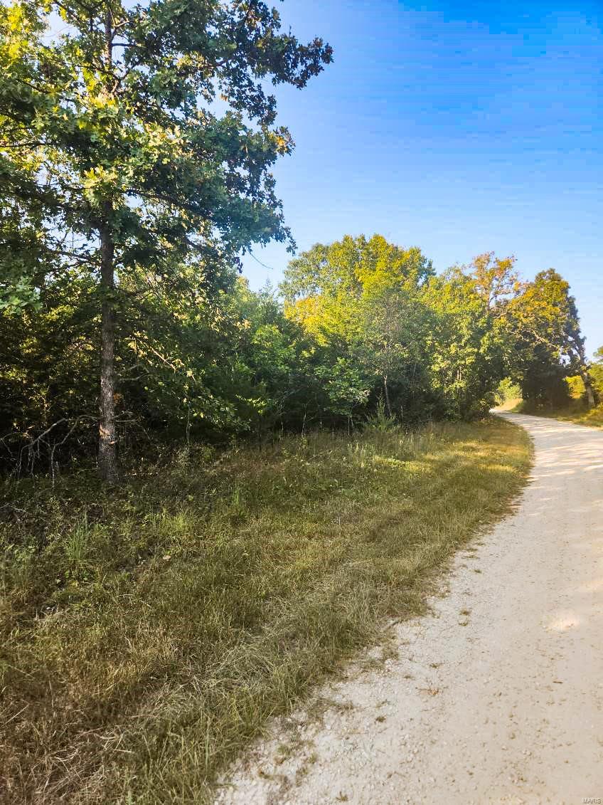 0 Robin Road Bellflower, MO 63333 - Photo 2 of 4