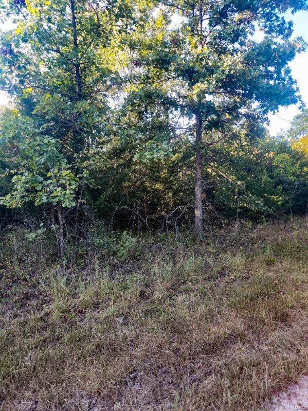 0 Robin Road Bellflower, MO 63333 - Photo 3 of 4