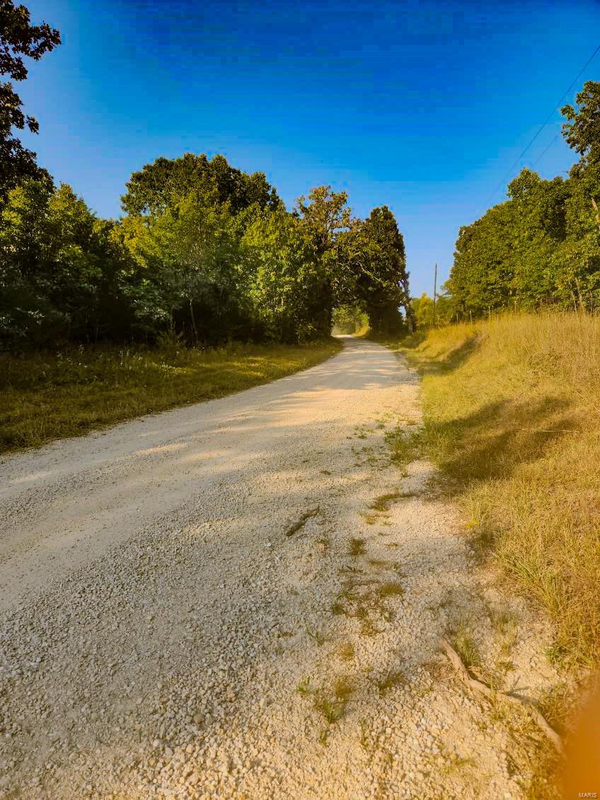 0 Robin Road Bellflower, MO 63333 - Photo 4 of 4