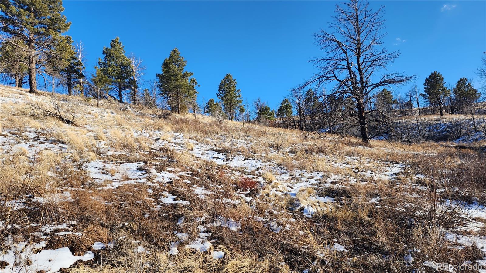 7702 Maria Road Fort Garland, CO 81133 - Photo 13 of 19 Gallery Image 13