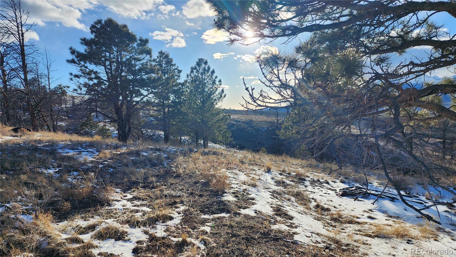 7702 Maria Road Fort Garland, CO 81133 - Photo 2 of 19 Gallery Image 2