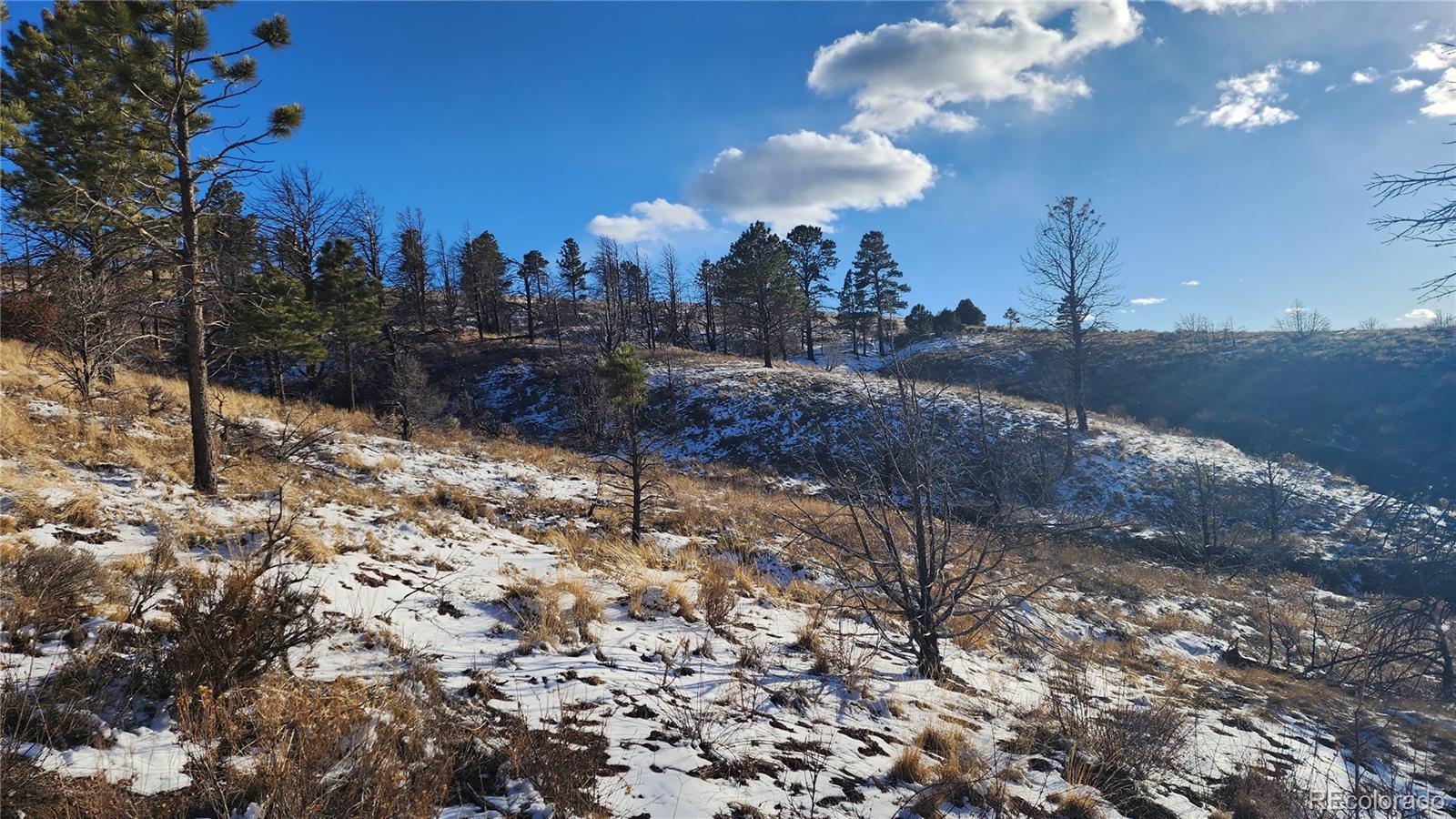 7702 Maria Road Fort Garland, CO 81133 - Photo 8 of 19 Gallery Image 8