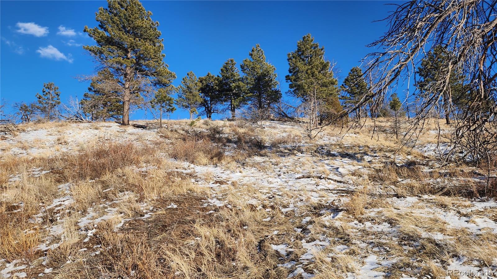 7702 Maria Road Fort Garland, CO 81133 - Photo 10 of 19 Gallery Image 10