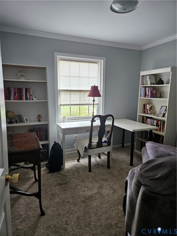 107 Tudor Road Colonial Heights, VA 23834 - Photo 5 of 13 Light gray painted interior walls with white crown