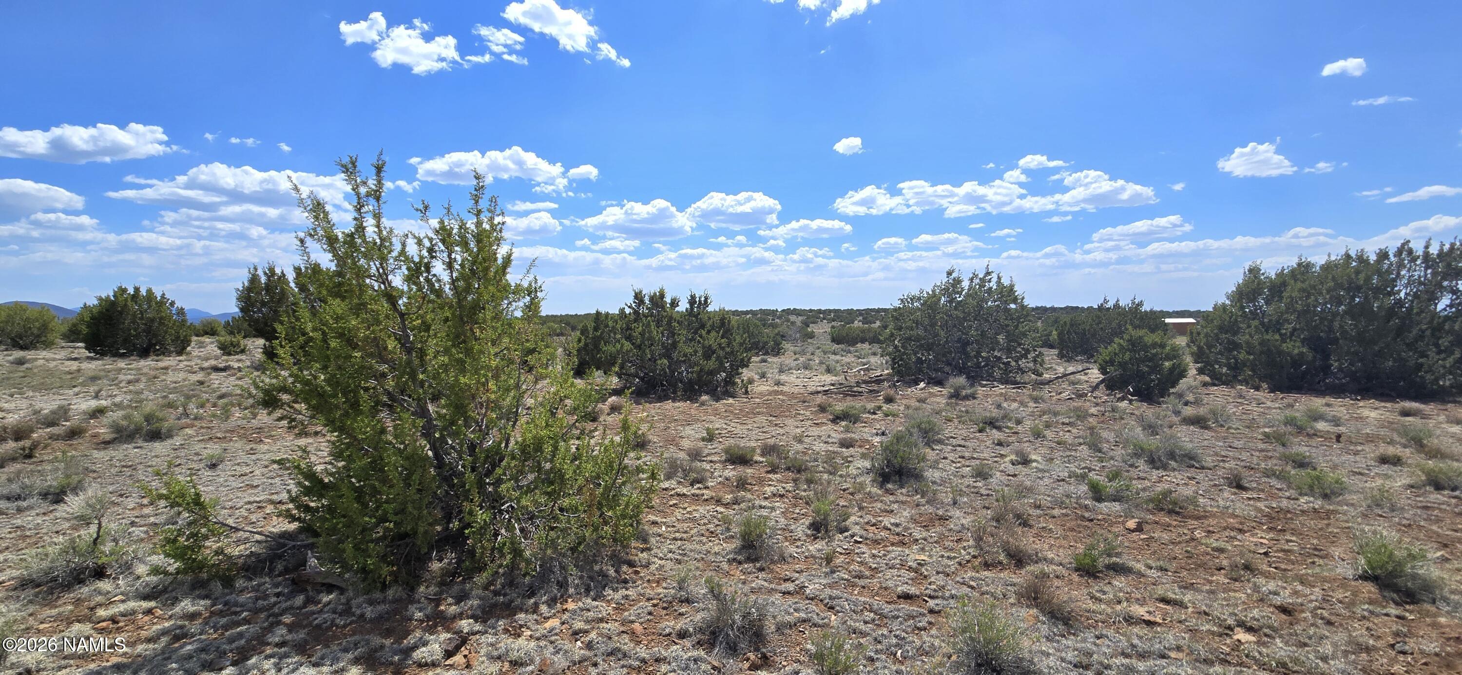 227 Mountain Cat Road Williams, AZ 86046 - Photo 11 of 13 a view of a yard with lots of green space