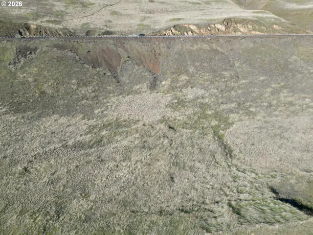 a view of a field with an ocean view