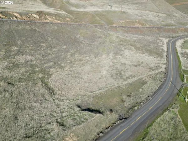 a view of a dry yard with trees