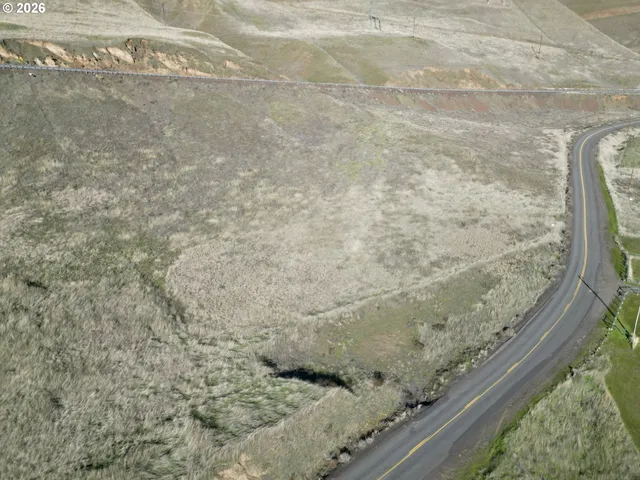 a view of a dry yard with trees