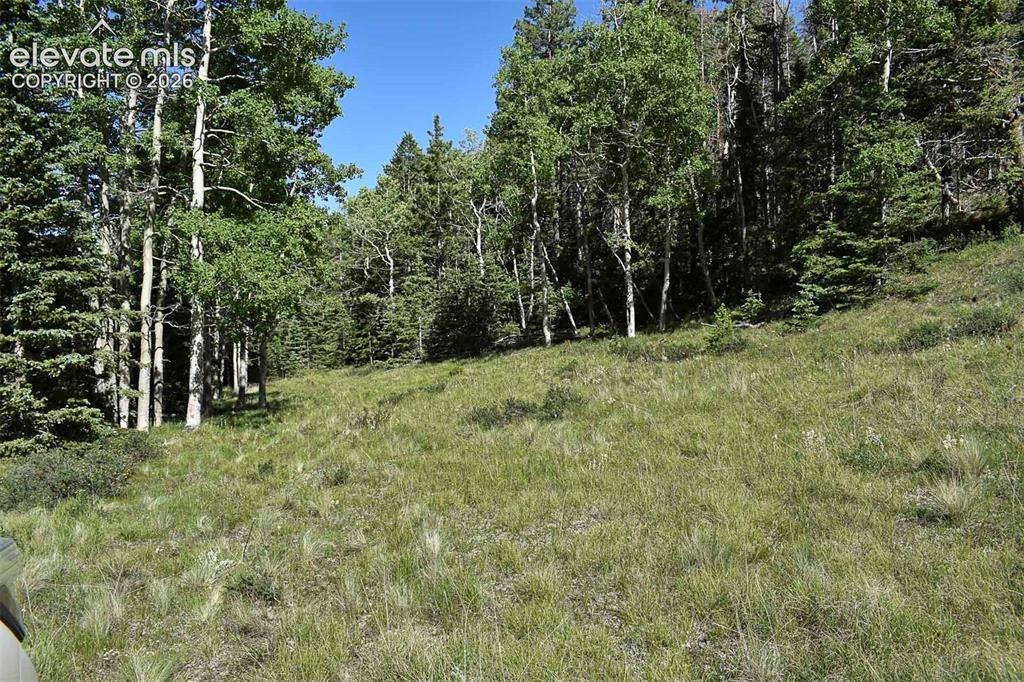 0 Bear Cat Road Guffey, CO 80820 - Photo 15 of 40