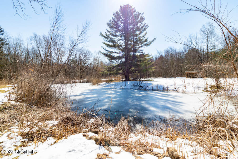 137 Ashdown Road Ballston, NY 12019 - Photo 14 of 64 .