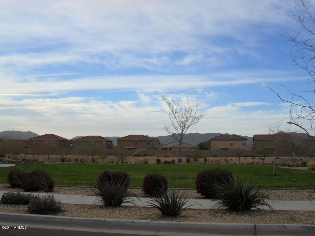2446 West Gaby Road Phoenix, AZ 85041 - Photo 21 of 21 grass