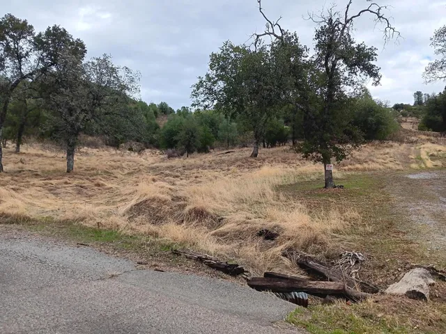 a view of a yard with a tree