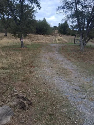 a view of a field with trees in the background