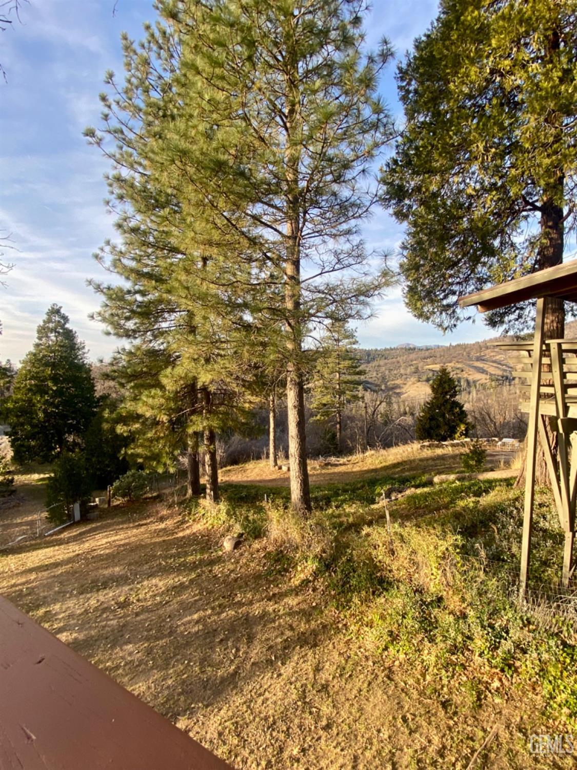 Undisclosed Address Posey, CA 93260 - Photo 21 of 26 a view of a yard with an trees