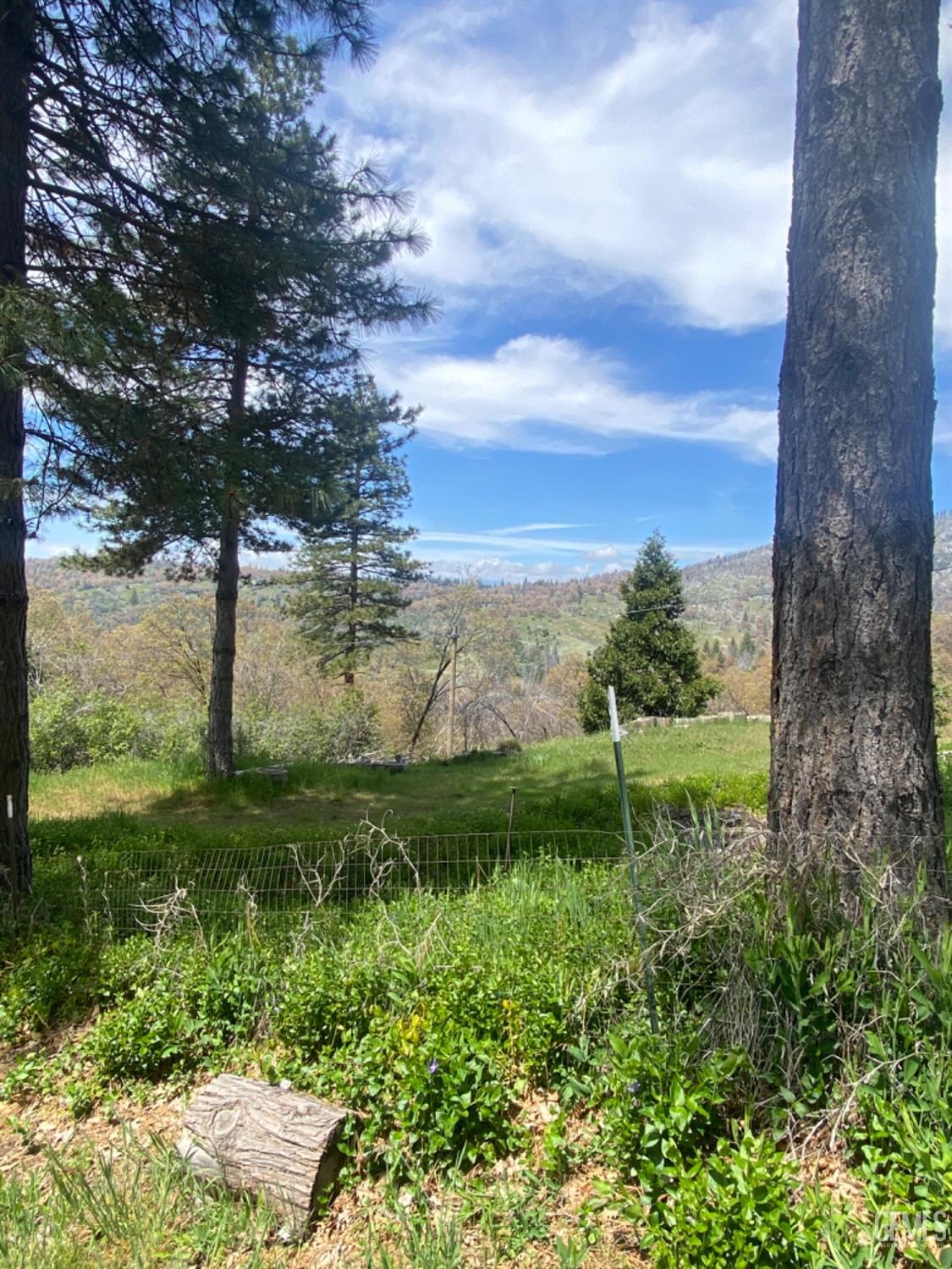 Undisclosed Address Posey, CA 93260 - Photo 24 of 26 a view of a garden with an trees