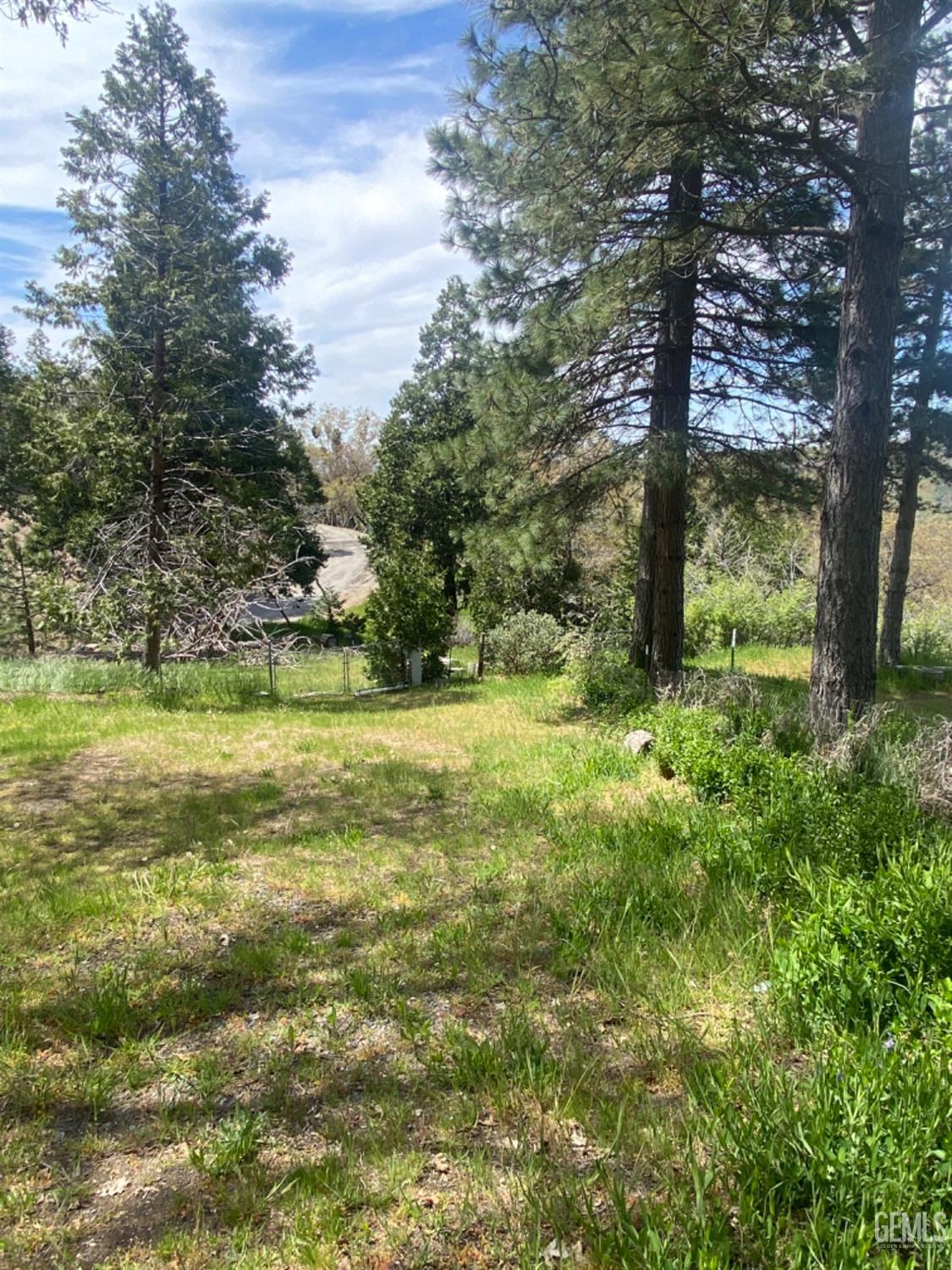 Undisclosed Address Posey, CA 93260 - Photo 26 of 26 a view of outdoor space with trees all around