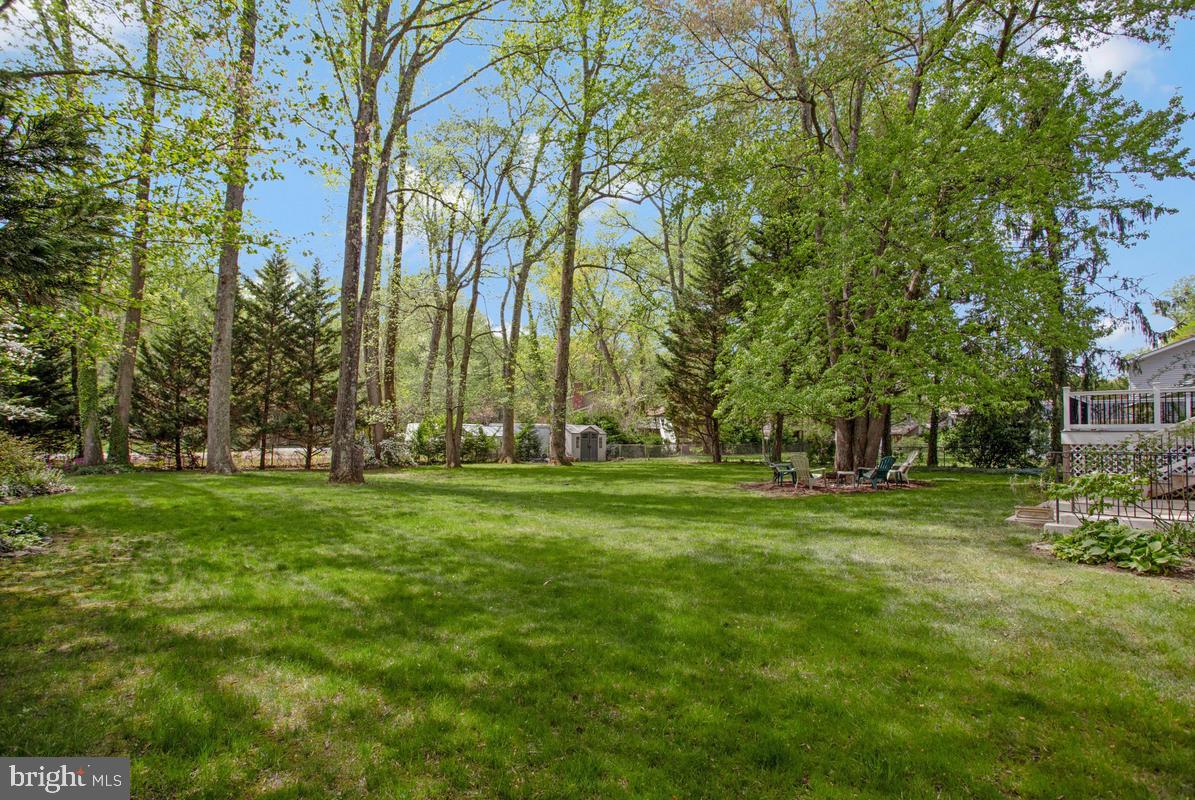 91 Scotts Cove Road Edgewater, MD 21037 - Photo 40 of 40 Lush green oasis under blue skies.