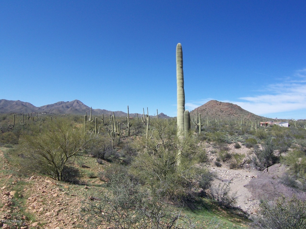 0 North Gerhart Road Tucson, AZ 85745 - Photo 6 of 9 Gallery Image 6