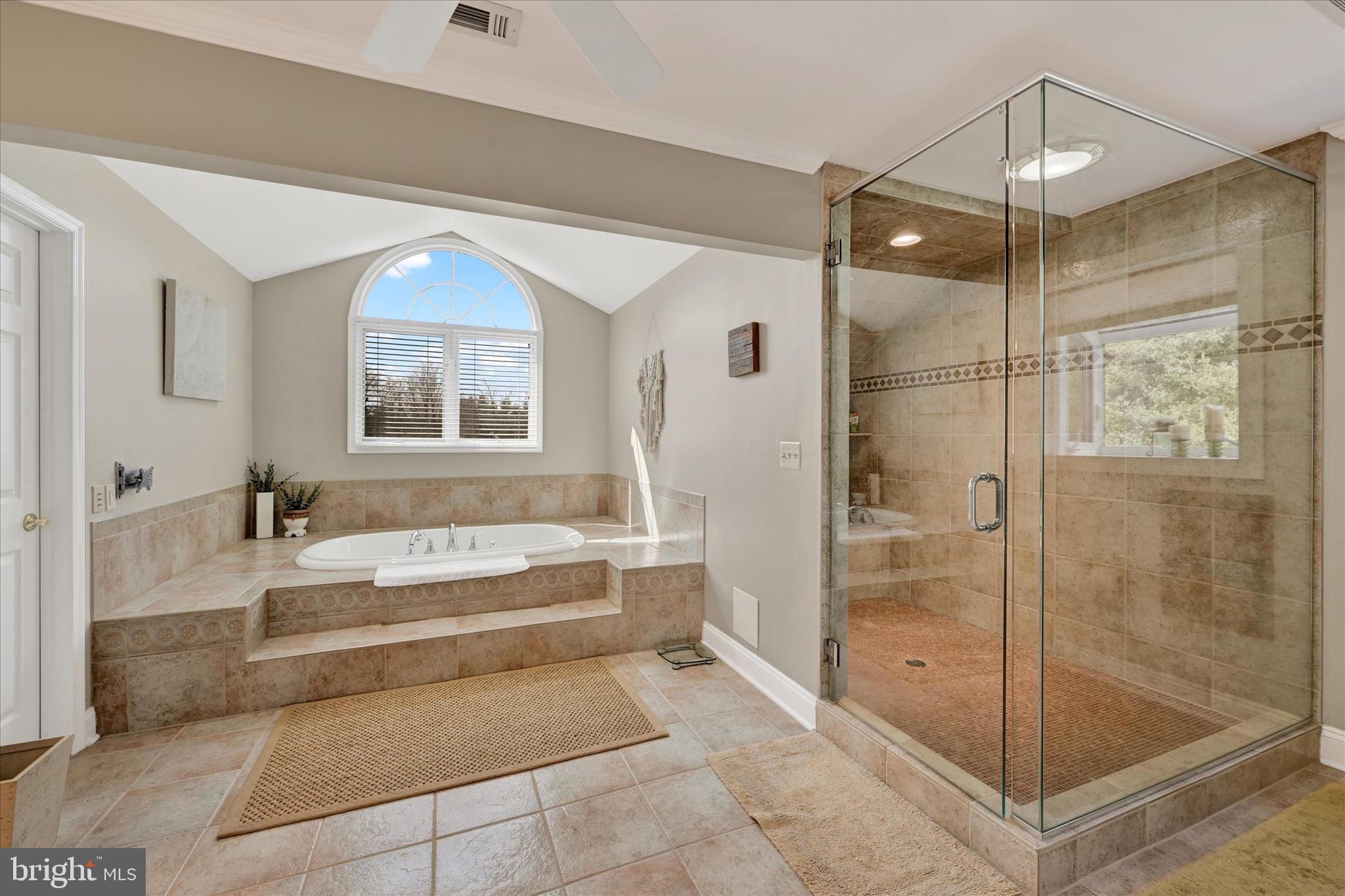 9 Liberty Ridge Court Reisterstown, MD 21136 - Photo 20 of 42 a spacious bathroom with a tub shower and mirror