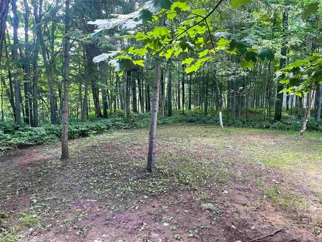 N10800 Powderville Road Bessemer, MI 49911 - Photo 25 of 36 Gallery Image 25
