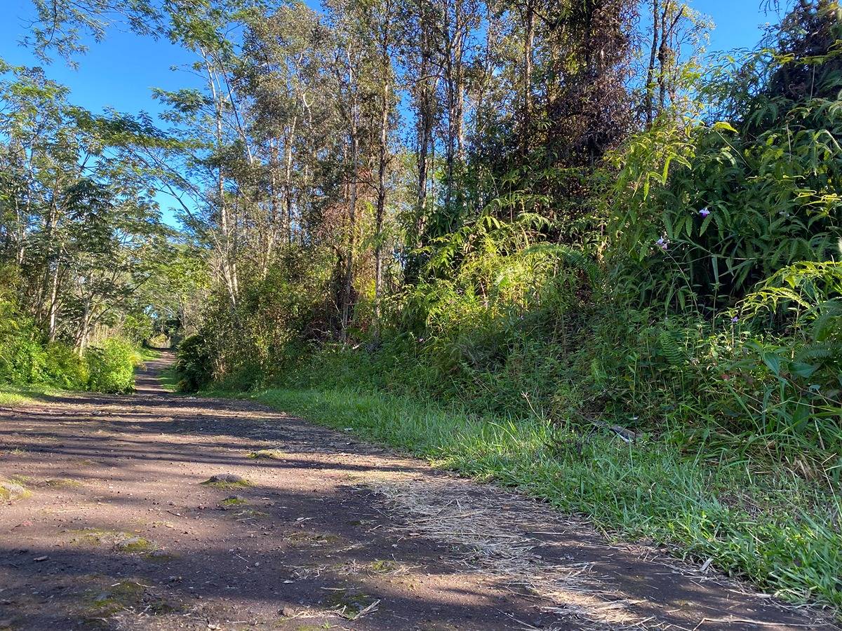 255 Hawaii Road Pahoa, HI 96778 - Photo 19 of 26 Gallery Image 19