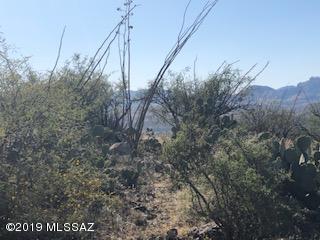 1713 Ruta Caravela, Unit 51 Rio Rico, AZ 85648 - Photo 2 of 6