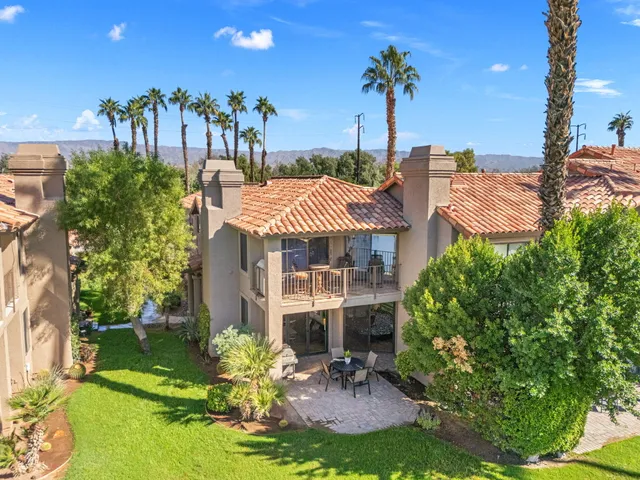 a view of a park with palm trees