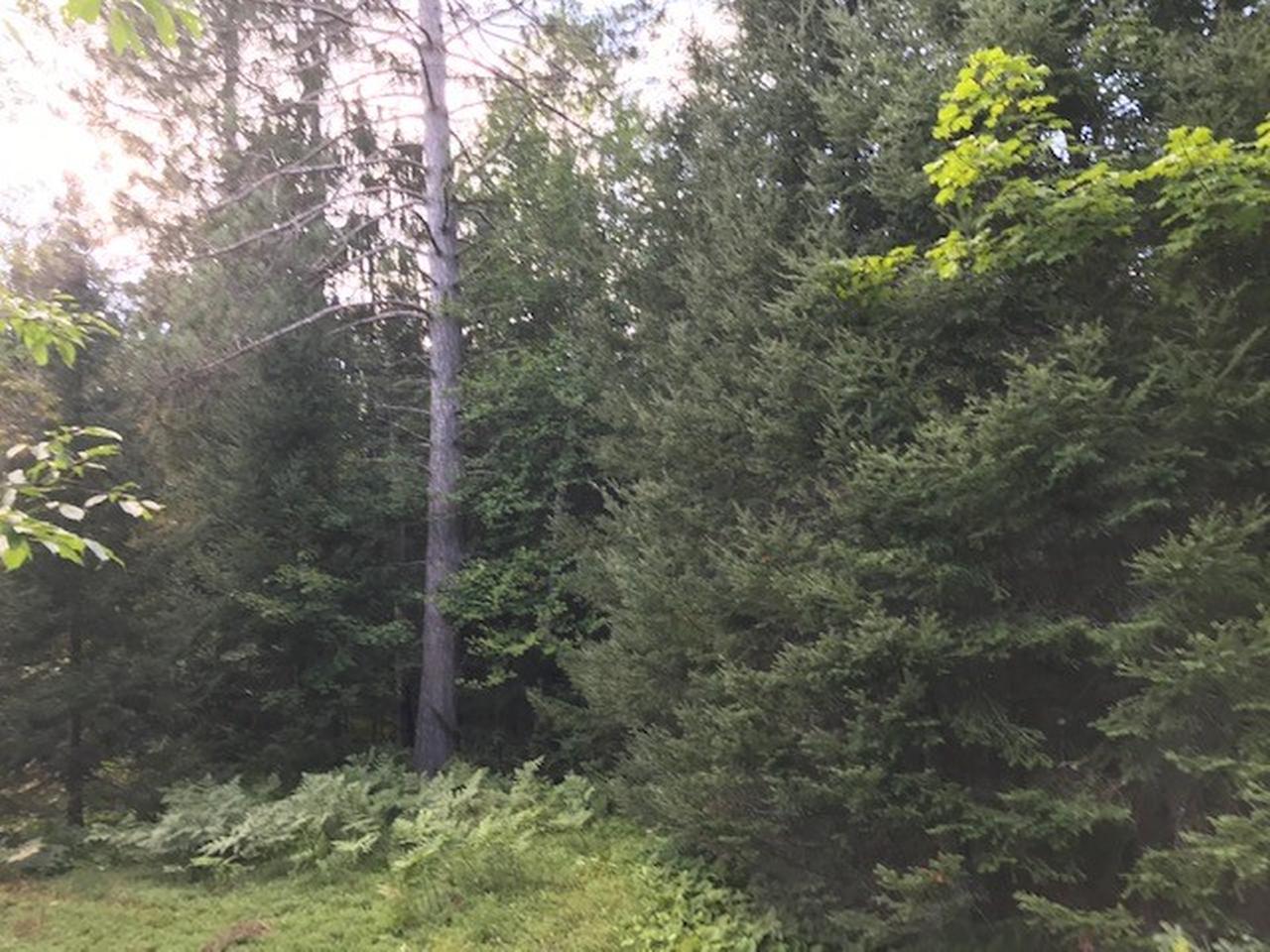 On Church Road, Unit 3 Conover, WI 54519 - Photo 4 of 6 Gallery Image 4