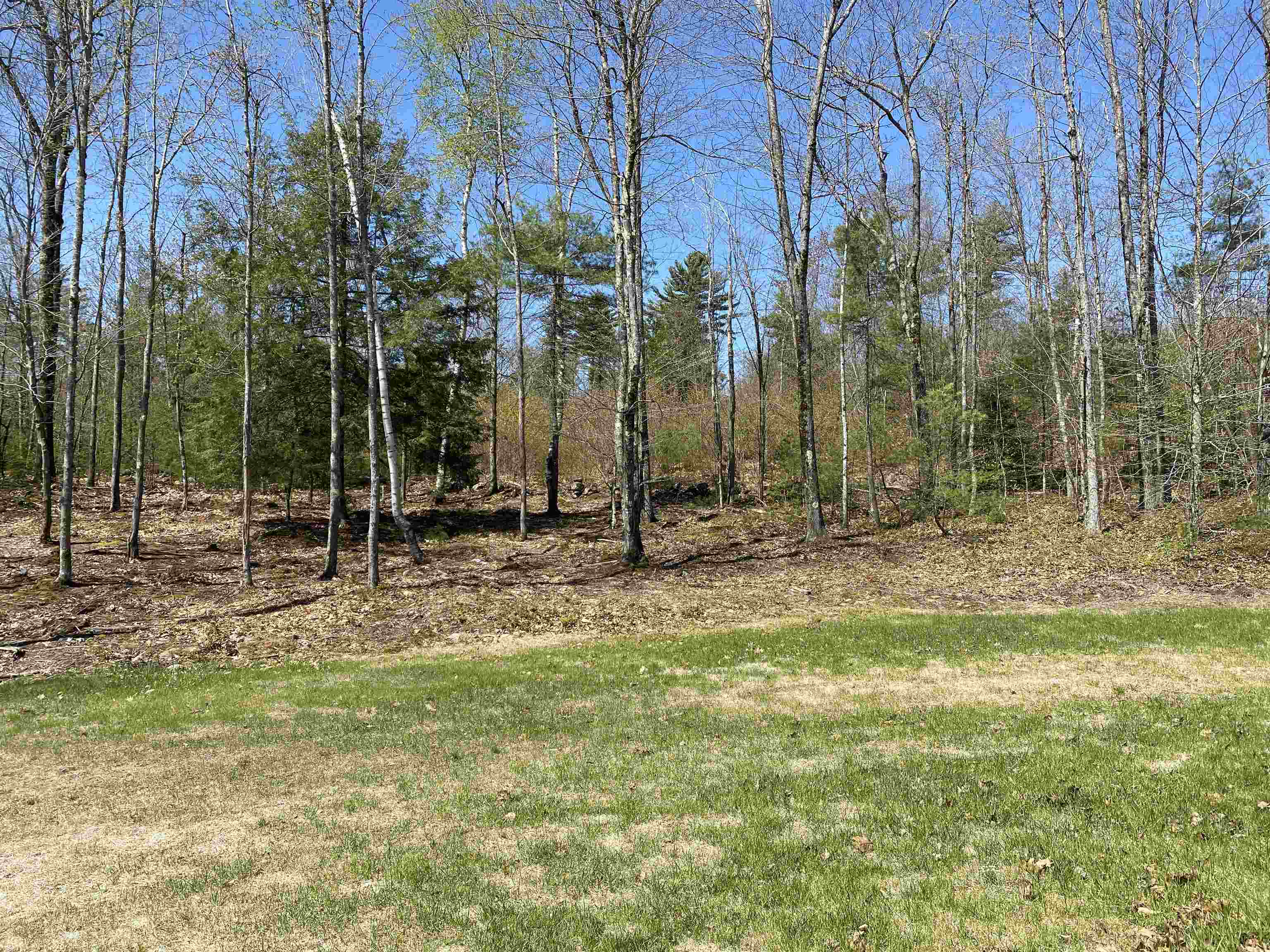 64 Amalia Way Rindge, NH 03461 - Photo 14 of 17 Gallery Image 14