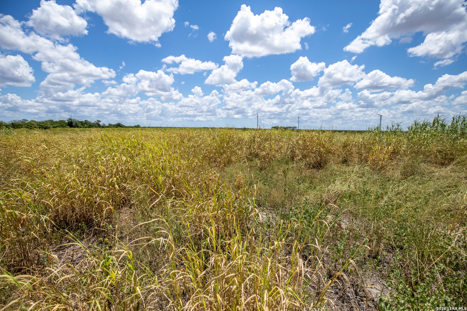 0 Cr 647 Mathis Tx 78368 Mathis, TX 78368 - Photo 39 of 40 Gallery Image 39
