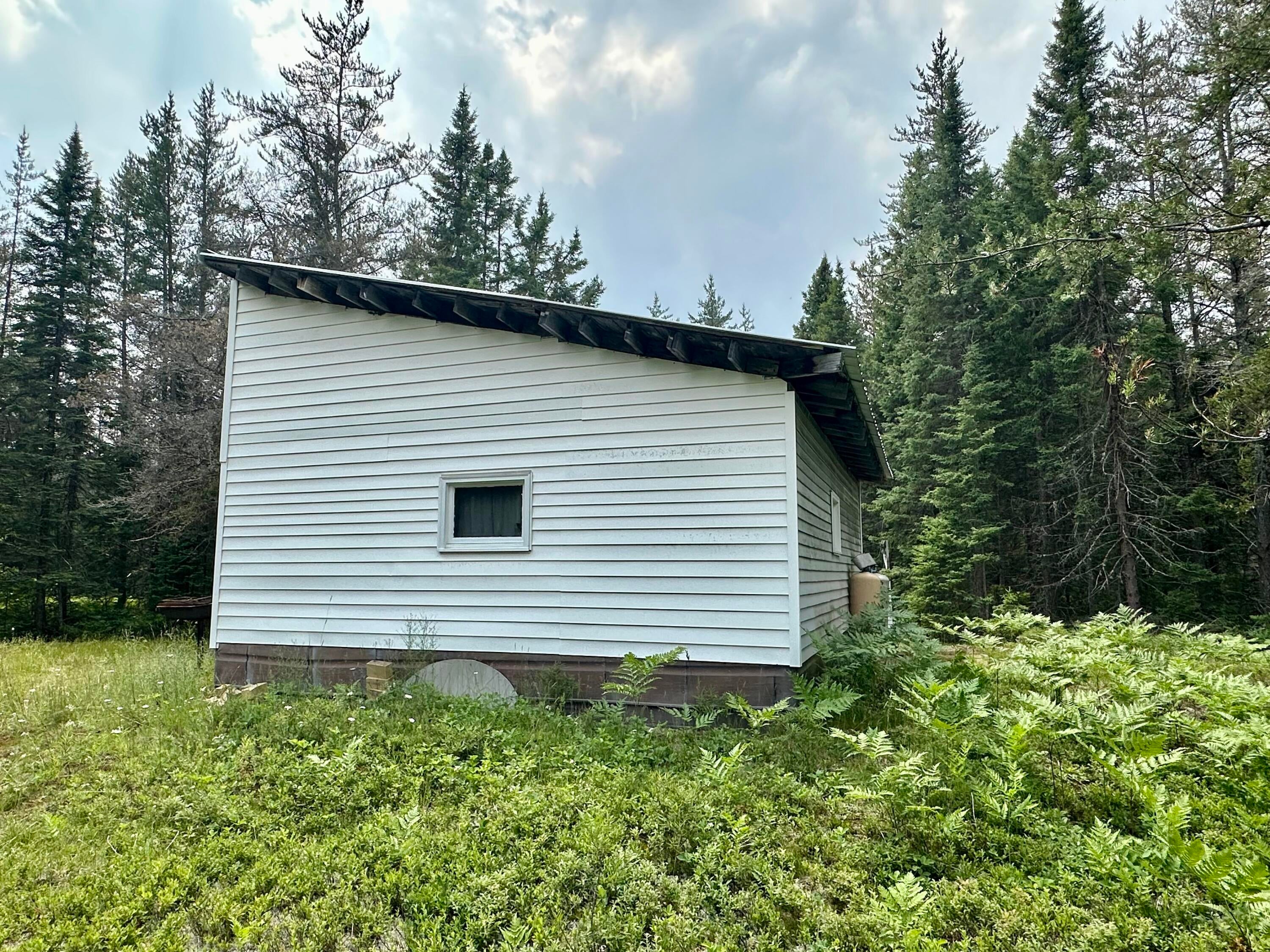 0 Fox River Road Seney, MI 49883 - Photo 4 of 28 Gallery Image 4