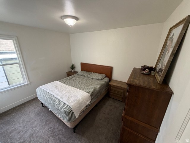108 West 2nd South Grace, ID 83241 - Photo 9 of 20 Bedroom featuring carpet flooring and plenty of natural light.