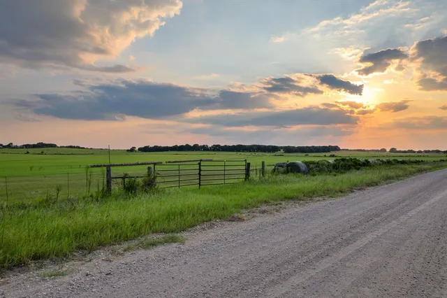 a view of a pathway with a garden