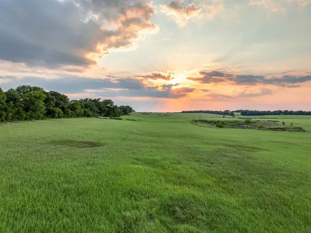 a view of field with grass and trees