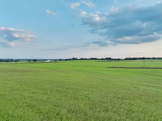 a view of a big yard with a large tree