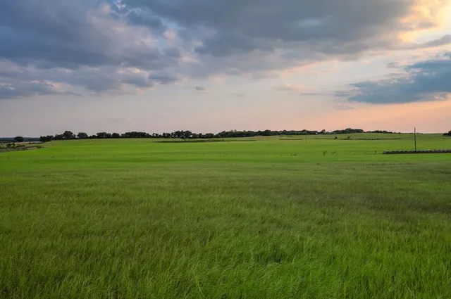 a view of a big green field with a big yard
