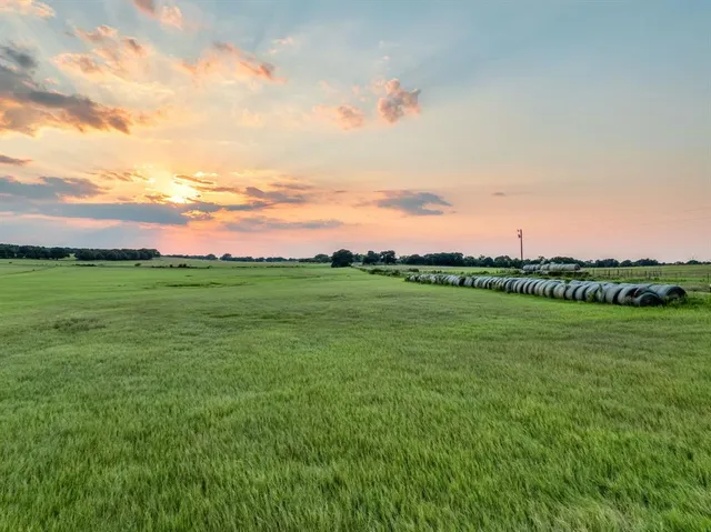 a view of a field with an trees