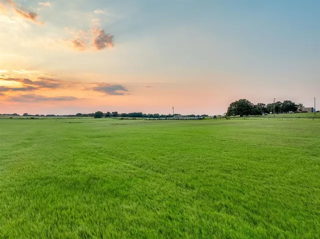 a view of a grassy field