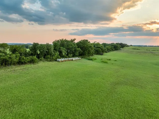 a view of a big yard with a large tree