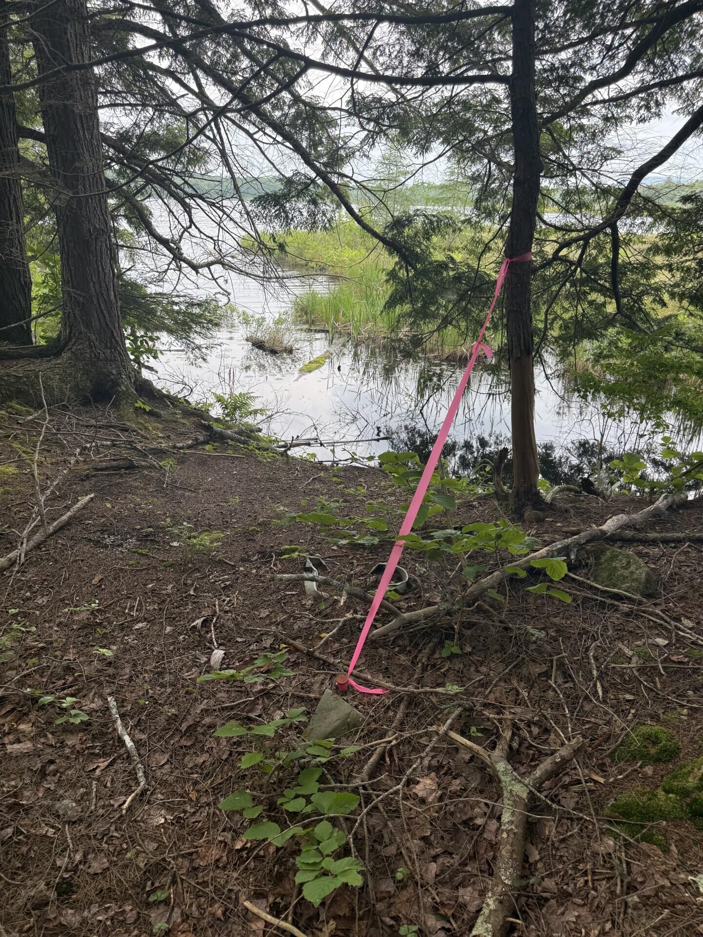 47-025 Cardinal Drive Embden, ME 04958 - Photo 17 of 55 21