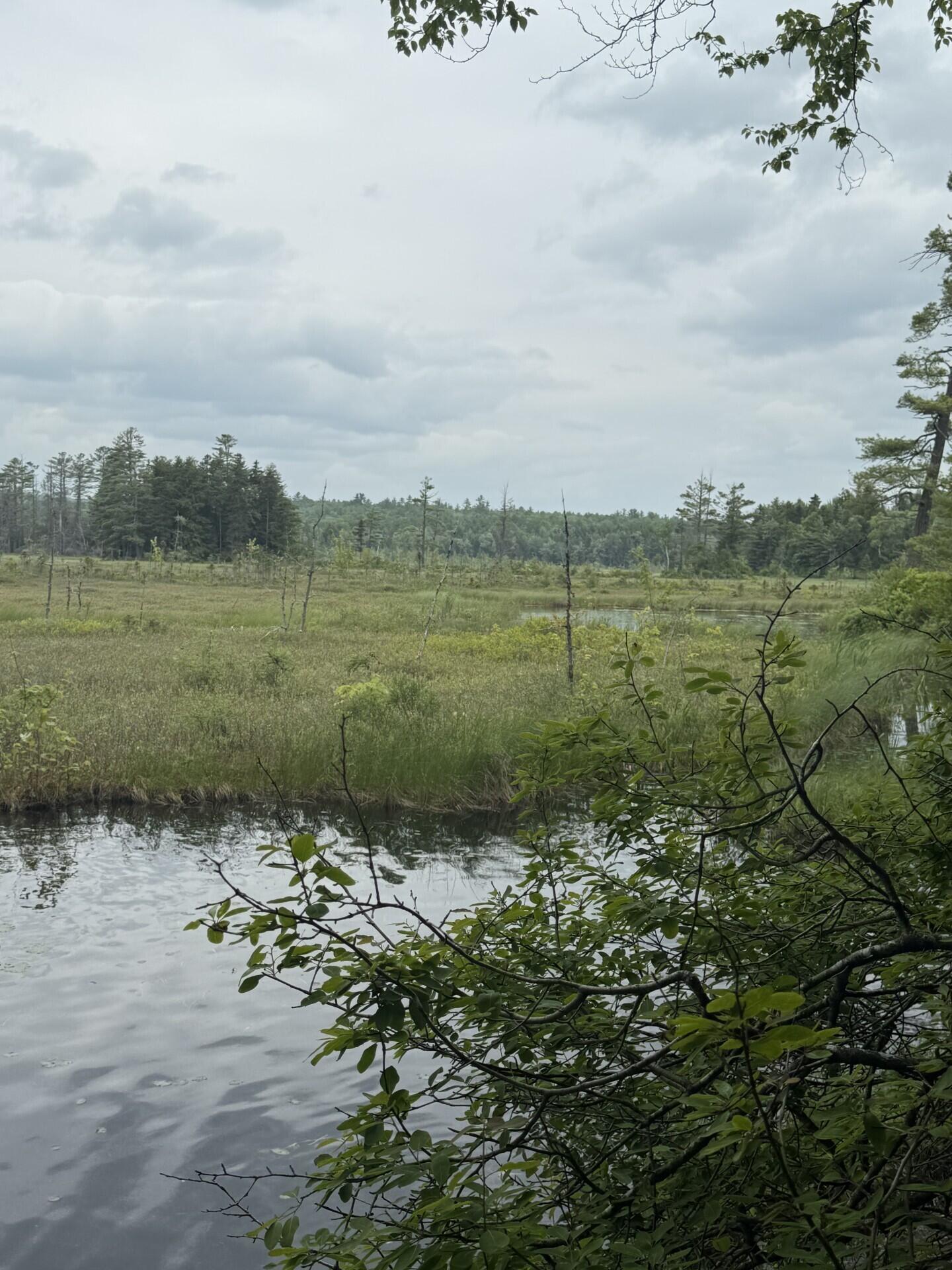 47-025 Cardinal Drive Embden, ME 04958 - Photo 18 of 55 25