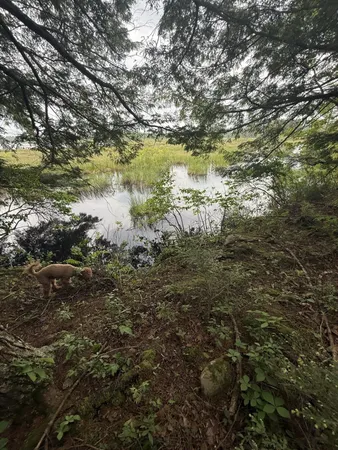 $350,000 | 47-025 Cardinal Drive, Embden, ME 04958