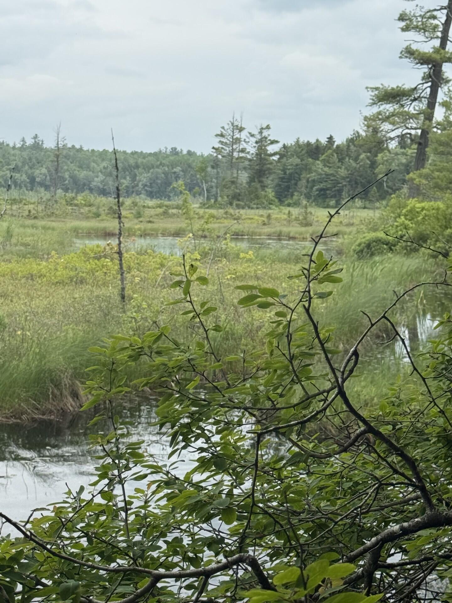 47-025 Cardinal Drive Embden, ME 04958 - Photo 20 of 55 27