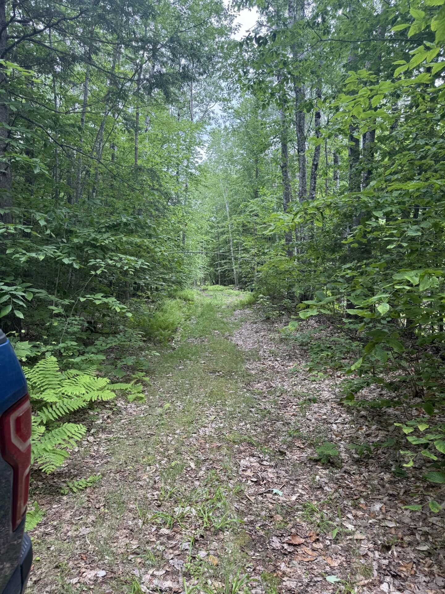 47-025 Cardinal Drive Embden, ME 04958 - Photo 30 of 55 8