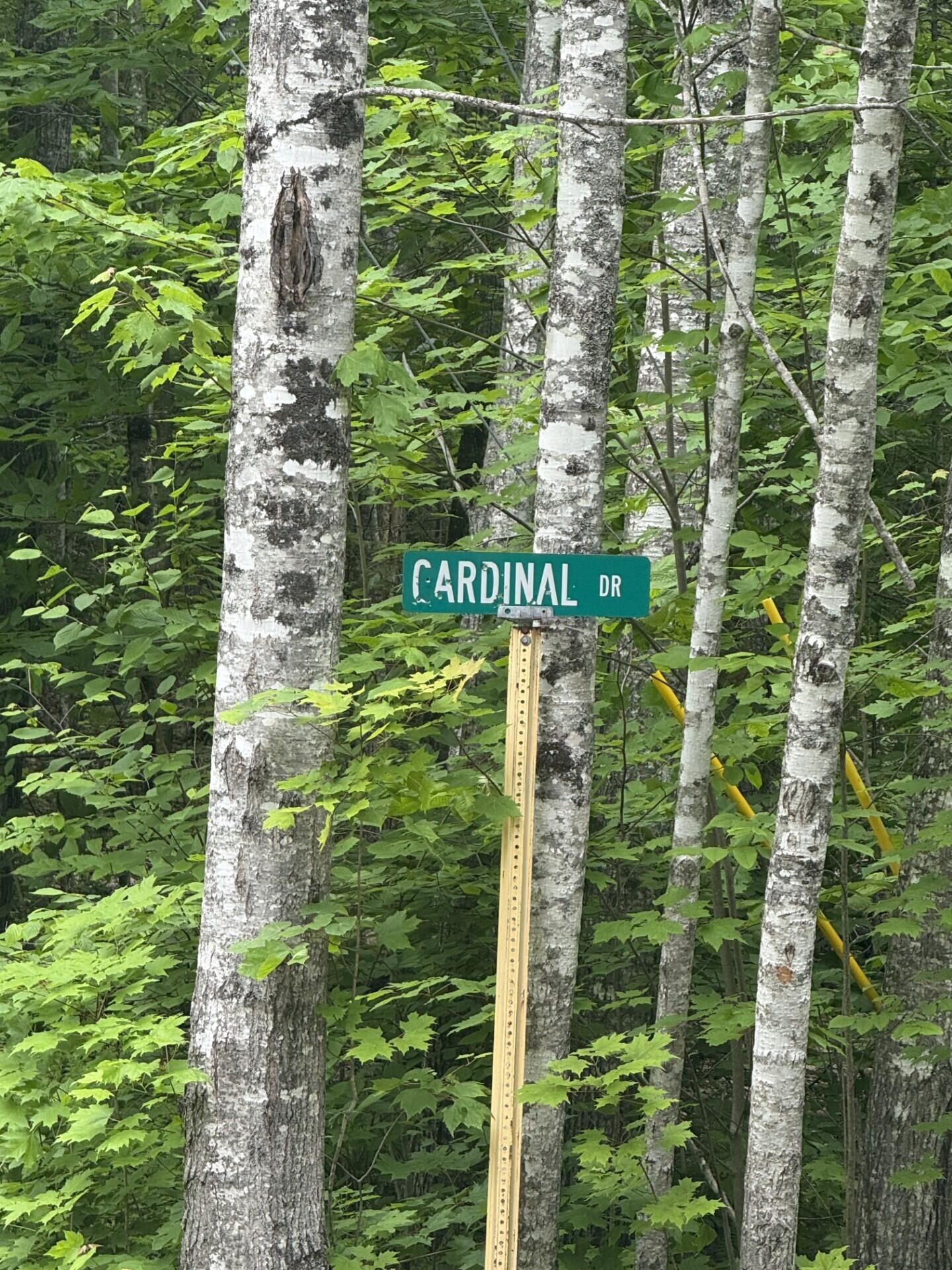 47-025 Cardinal Drive Embden, ME 04958 - Photo 31 of 55 9